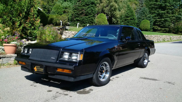 Very fast Grand National hardtop, lots of money invested, excellent condition 1987 Buick Grand National