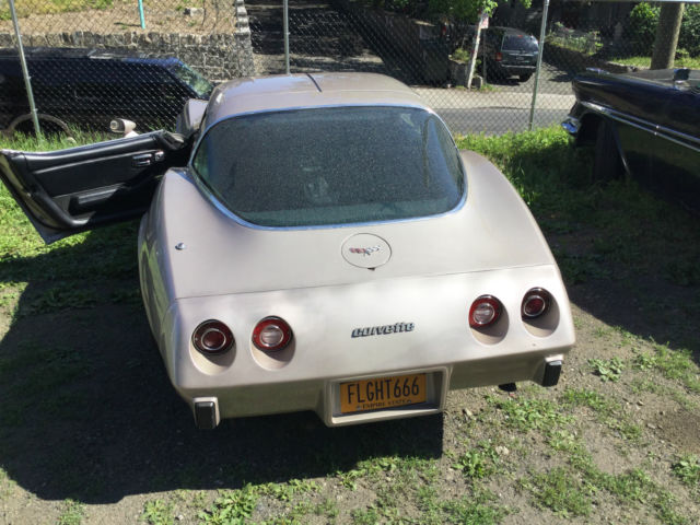 1979 Chevrolet Corvette Corvette - photo 2