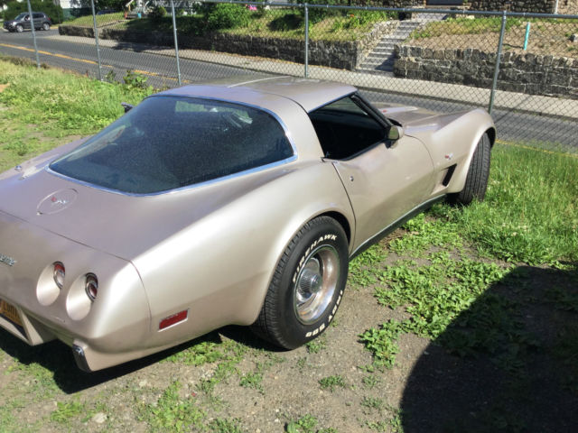 1979 Chevrolet Corvette Corvette - photo 3