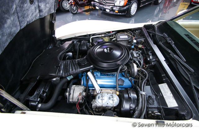 1979 Chevrolet Corvette L48 Auto - photo 10