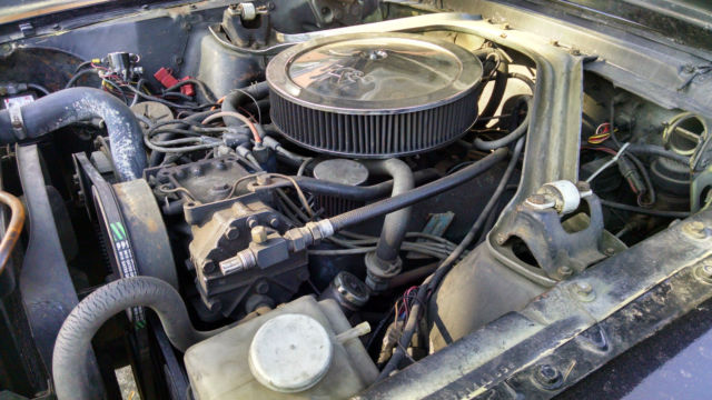 1966 Ford Mustang none - photo 8
