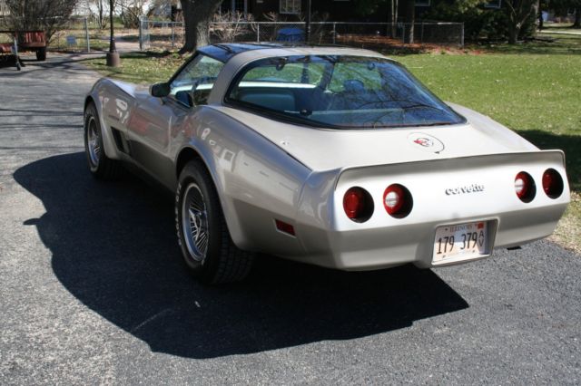 1982 Chevrolet Corvette Leather - photo 9