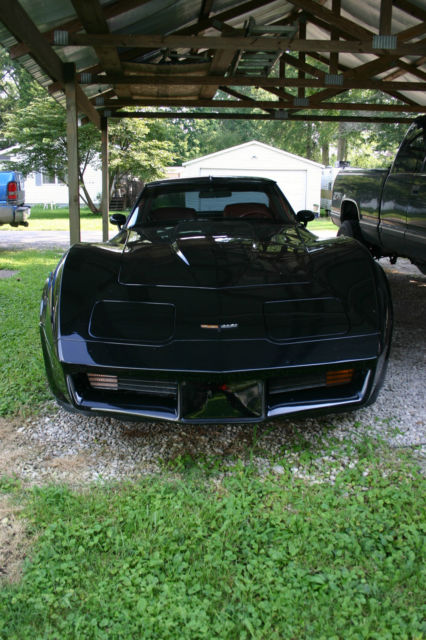 1981 Chevrolet Corvette - photo 3