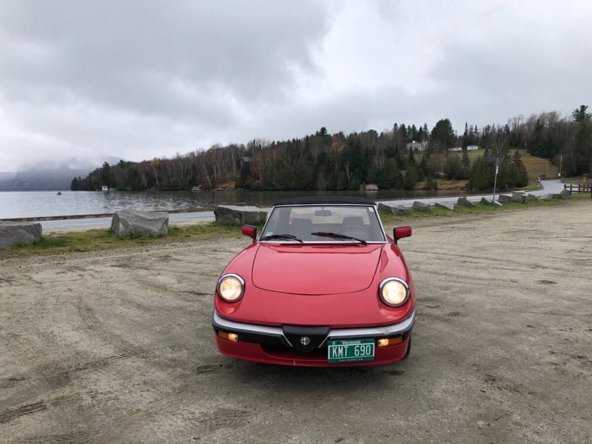 1986 Alfa Romeo Spider - photo 2