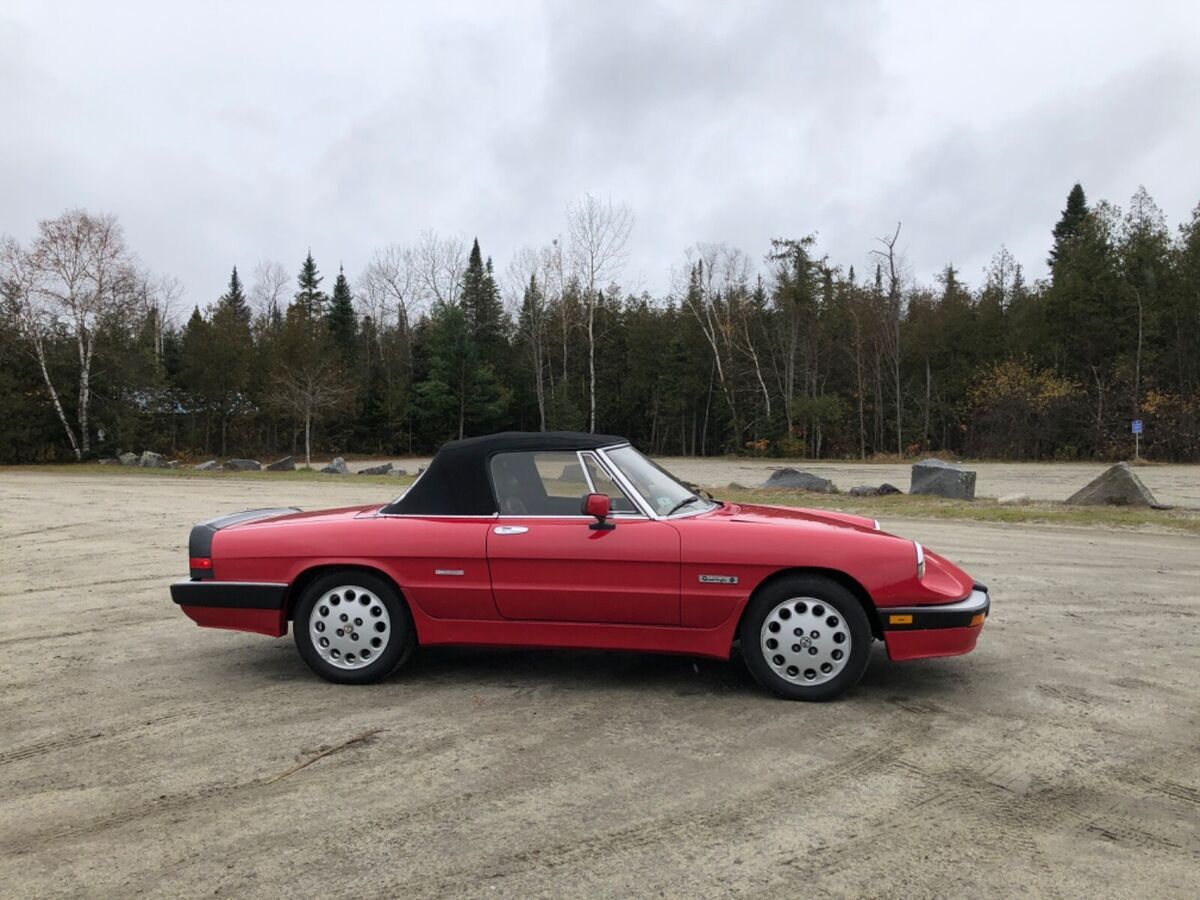 1986 Alfa Romeo Spider - photo 4