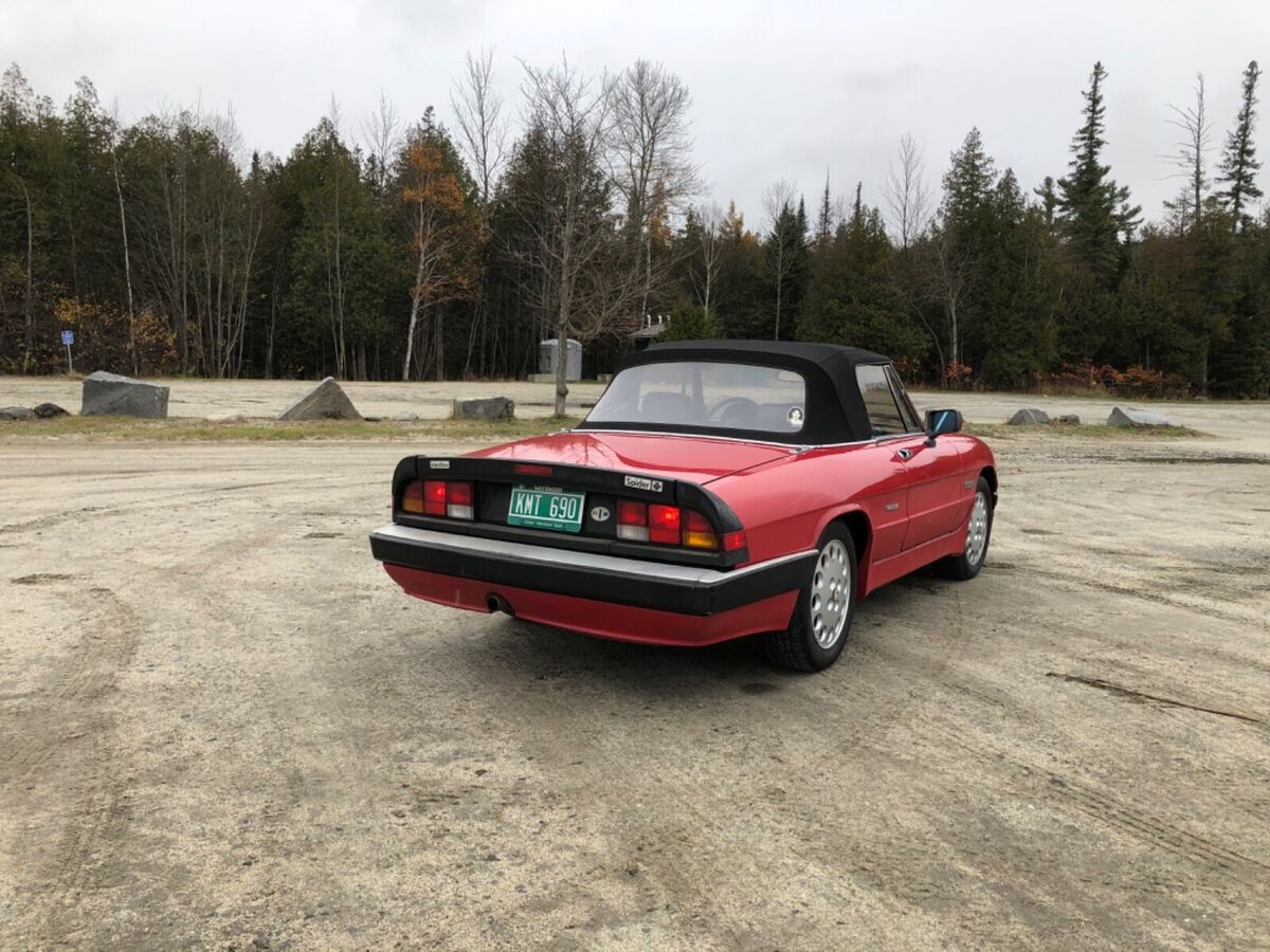 1986 Alfa Romeo Spider - photo 5