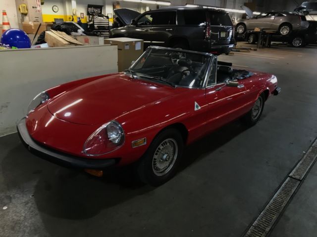 1977 Alfa Romeo Spider