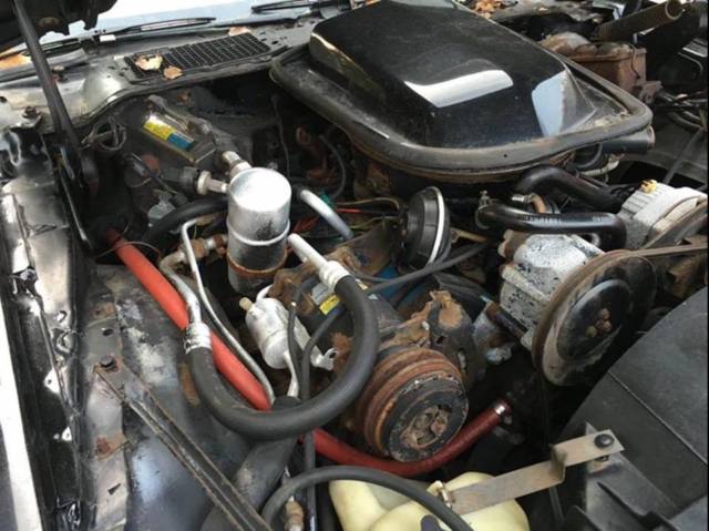 1980 Pontiac Trans Am Black/Red - photo 6