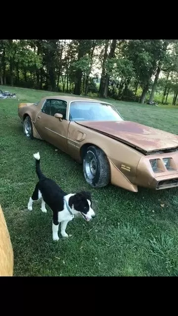 Very Rare 1981 Turbo Trans Am Was One Owner When Found 1981 Pontiac Trans Am