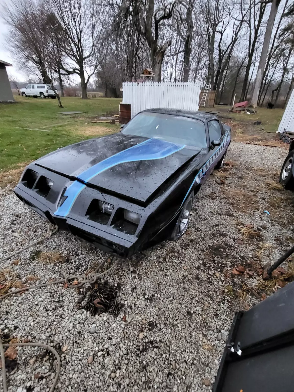 1981 Pontiac Trans Am - photo 2