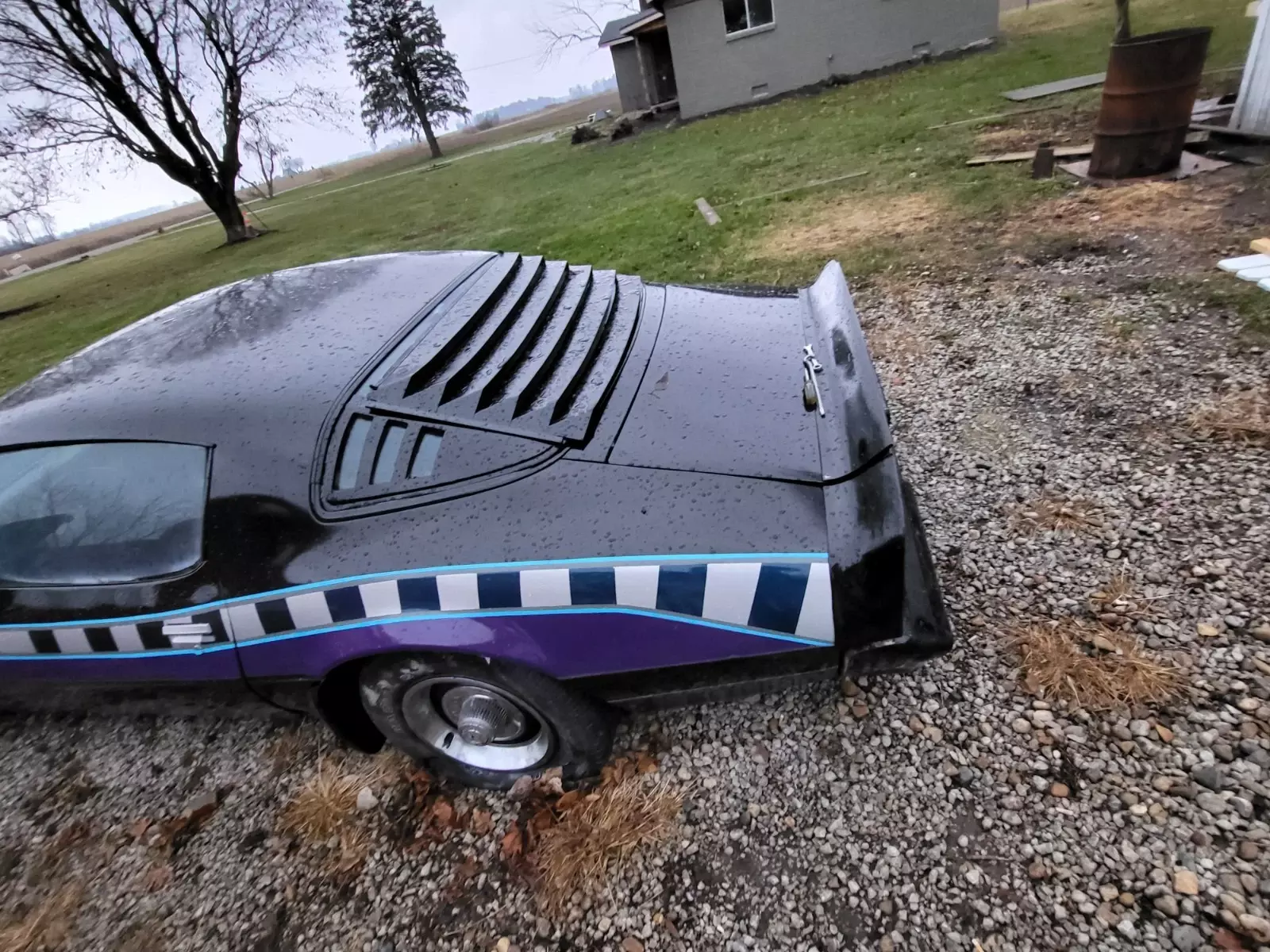 1981 Pontiac Trans Am - photo 3