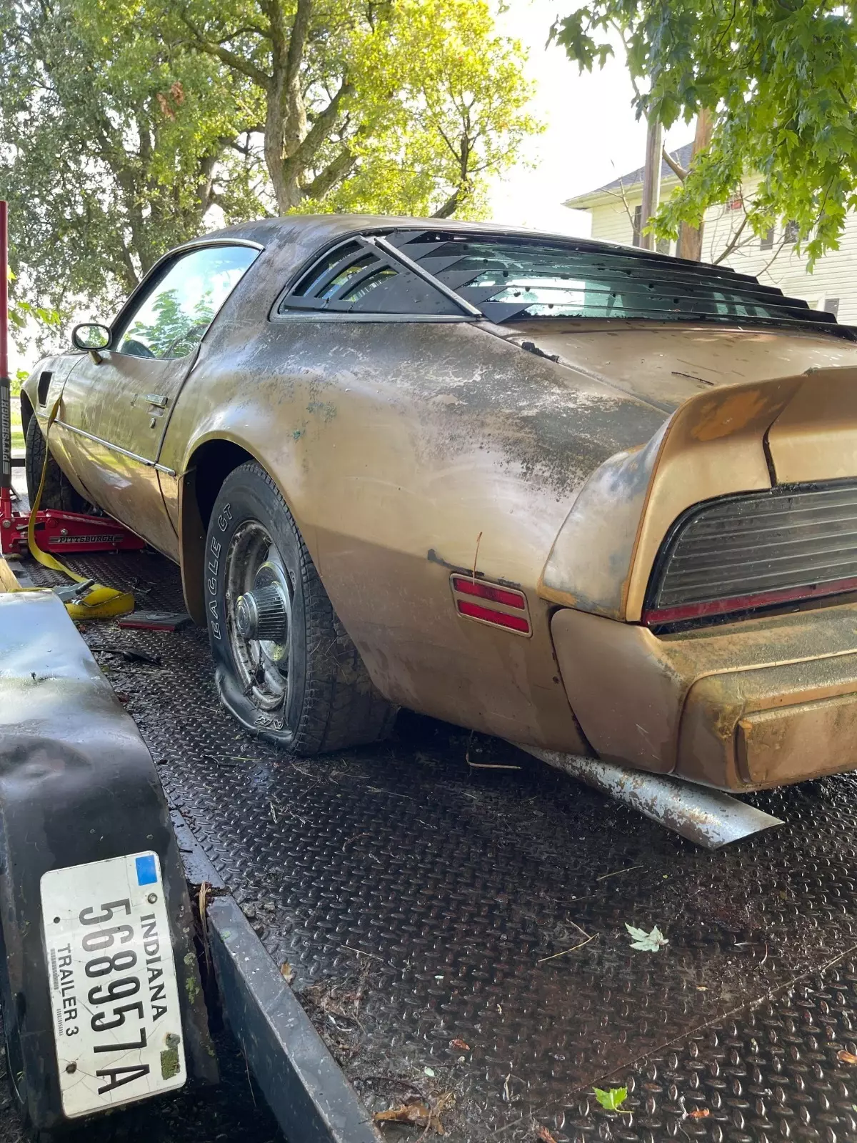 1981 Pontiac Trans Am - photo 4