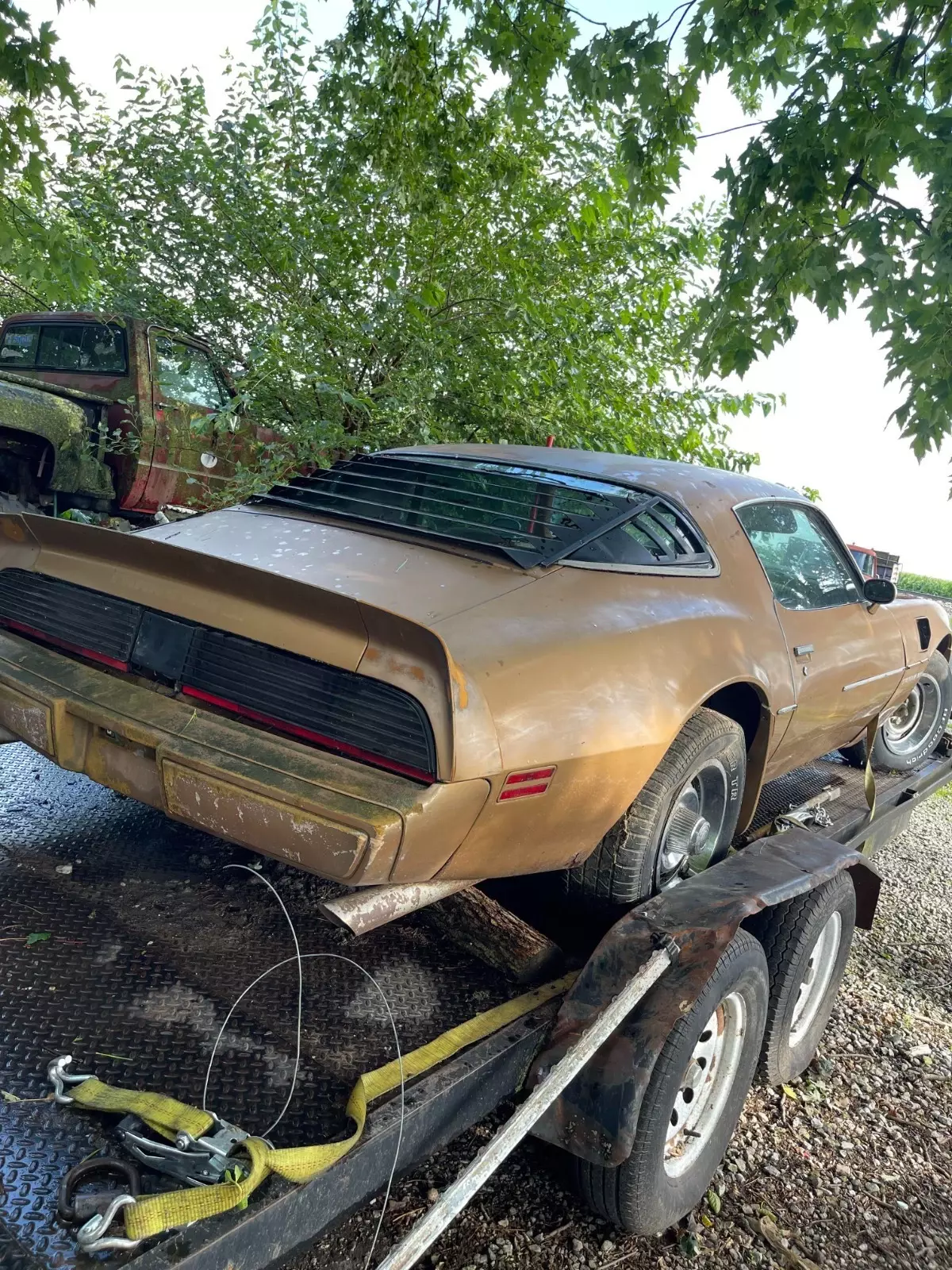1981 Pontiac Trans Am - photo 5