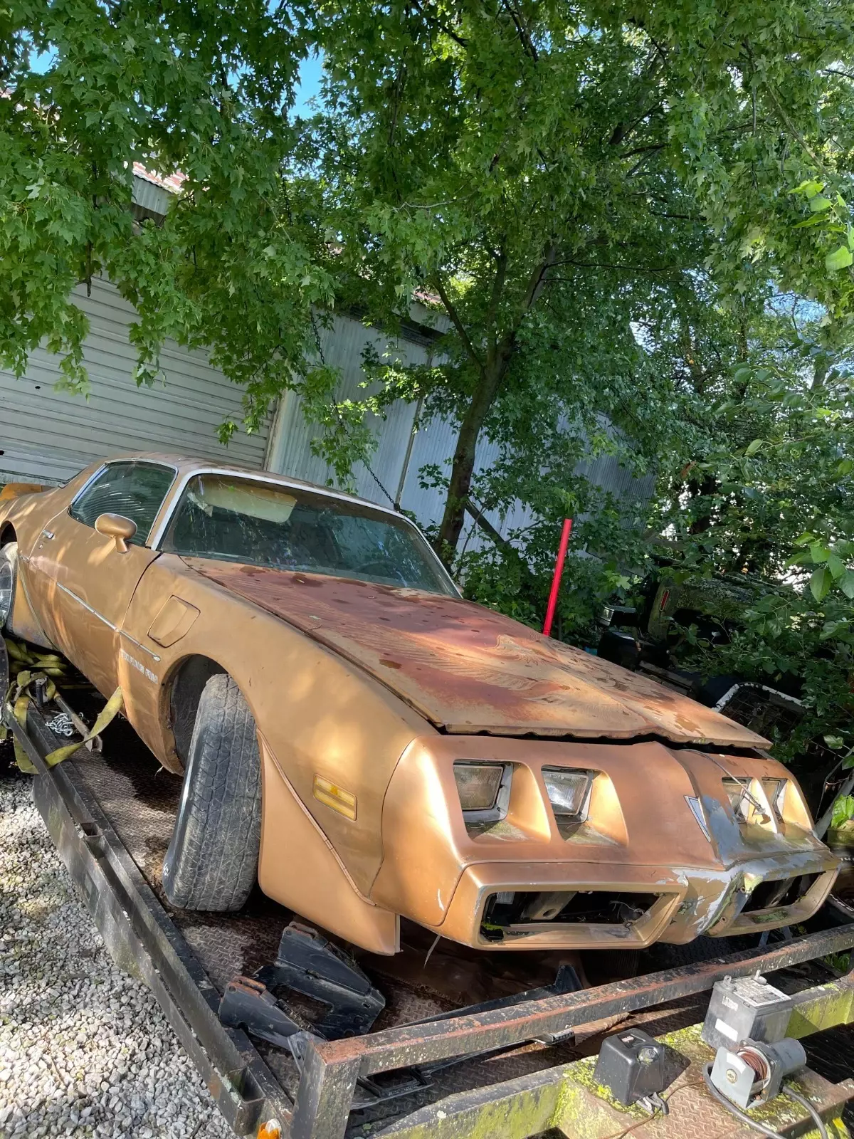 1981 Pontiac Trans Am - photo 6