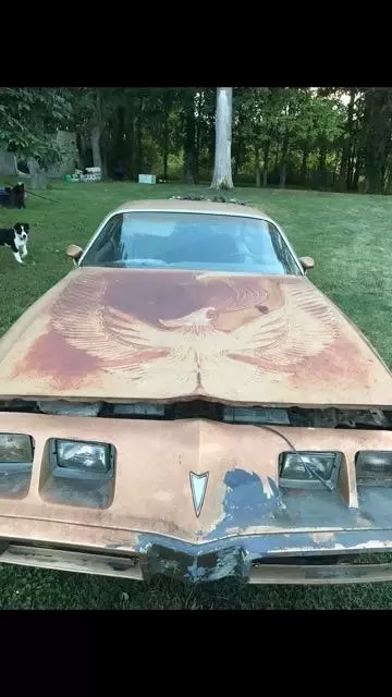 1981 Pontiac Trans Am - photo 7
