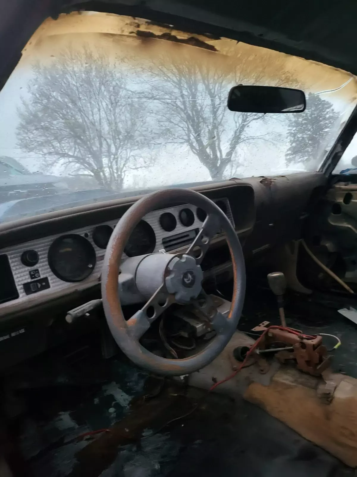 1981 Pontiac Trans Am - photo 9