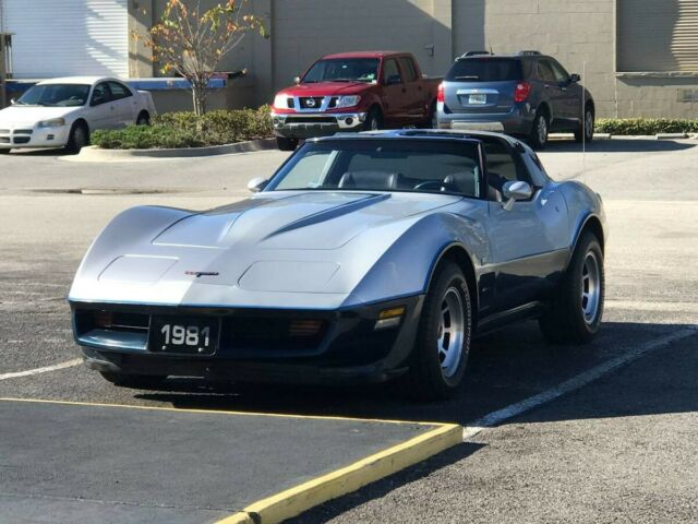 VERY RARE GORGEOUS 1981 CORVETTE 4 SPEED RESTO SHES FAST TIGHT AND BEAUTIFUL 1981 Chevrolet Corvette