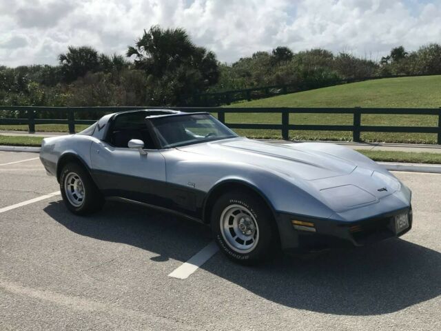 1981 Chevrolet Corvette - photo 8