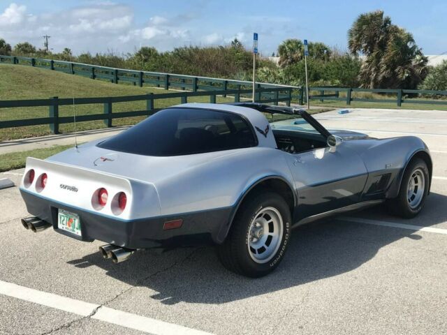 1981 Chevrolet Corvette - photo 9