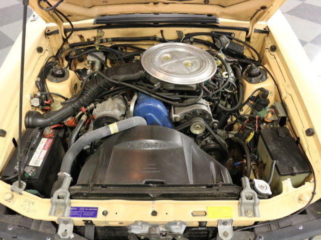 1979 Ford Mustang Turbo Ghia - photo 4
