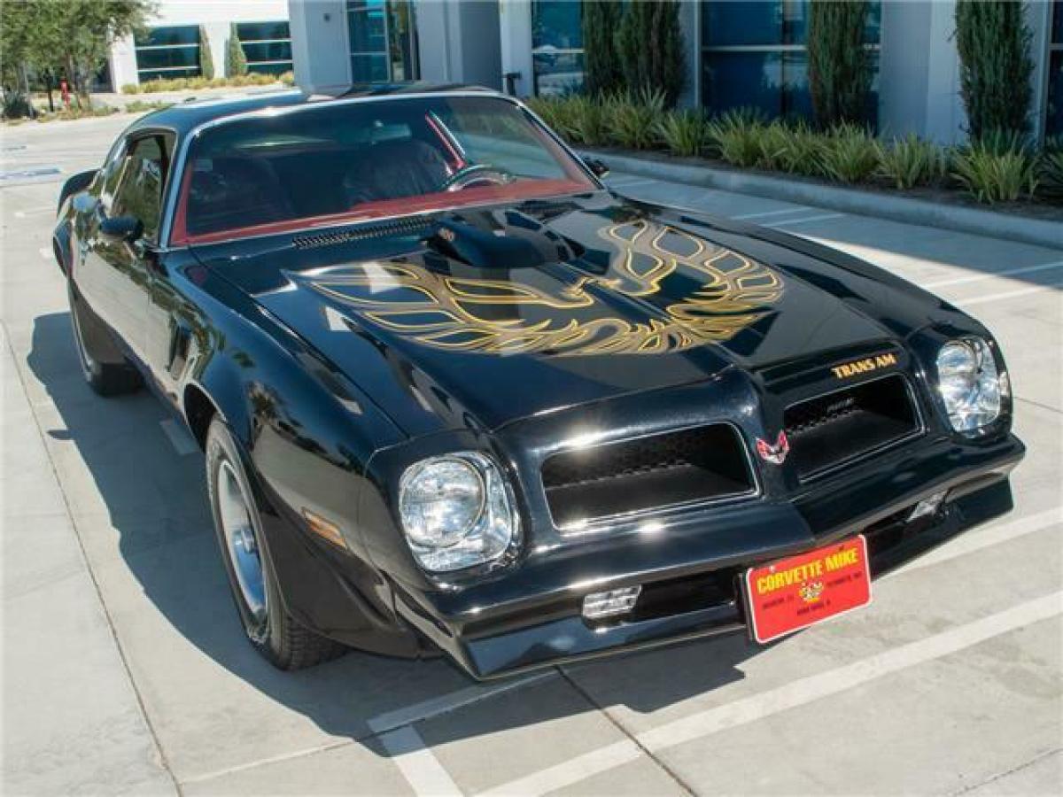 Very sharp 1976 Black Pontiac Trans Am in a rare color combination 1976 Pontiac Trans Am Coupe