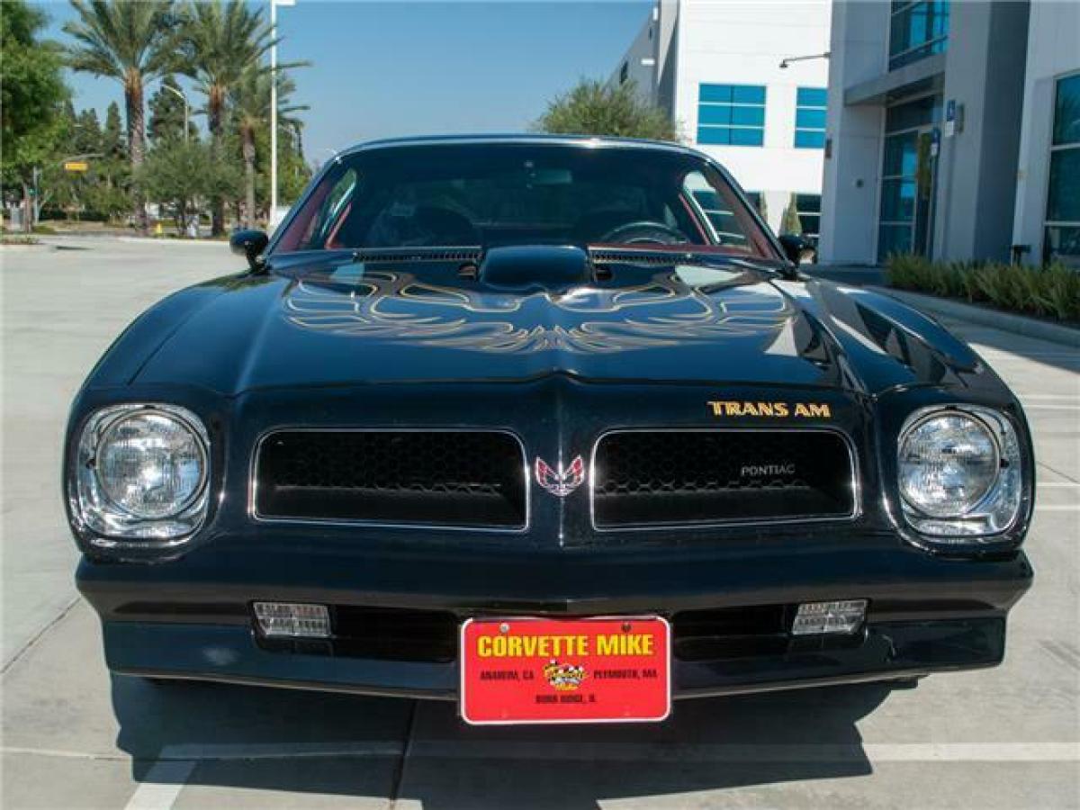 1976 Pontiac Trans Am Coupe - photo 5