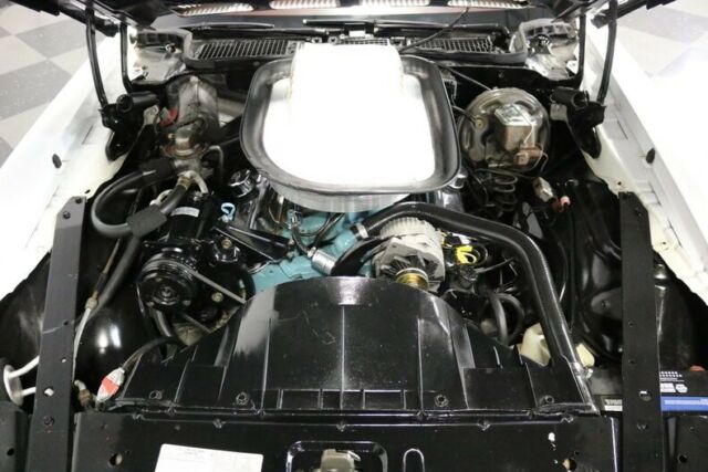 1974 Pontiac Firebird Trans Am - photo 4