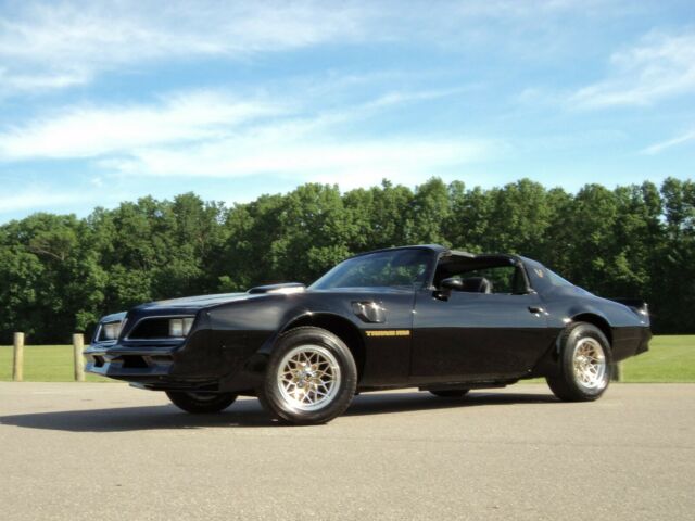 VERY SLICK BANDIT PONTIAC TRANS AM FIREBIRD 1980 GM 73 74 75 76 77 78 79 81 1980 Pontiac Firebird TRANS AM