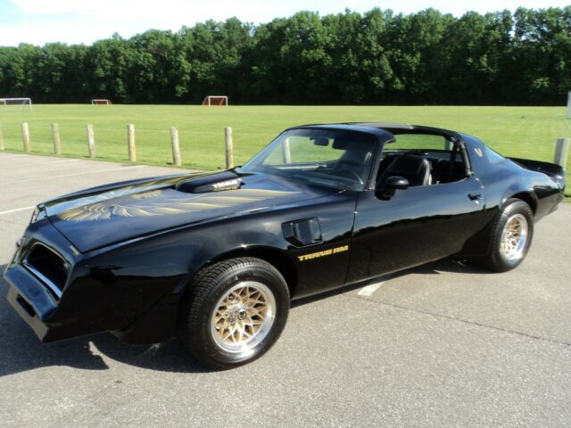 1980 Pontiac Firebird TRANS AM - photo 10
