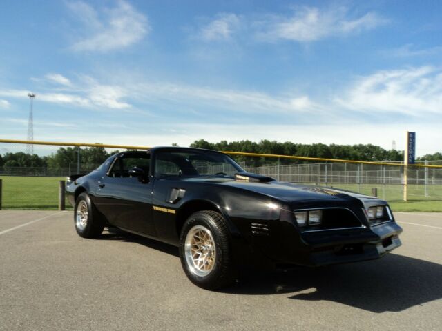 1980 Pontiac Firebird TRANS AM - photo 12