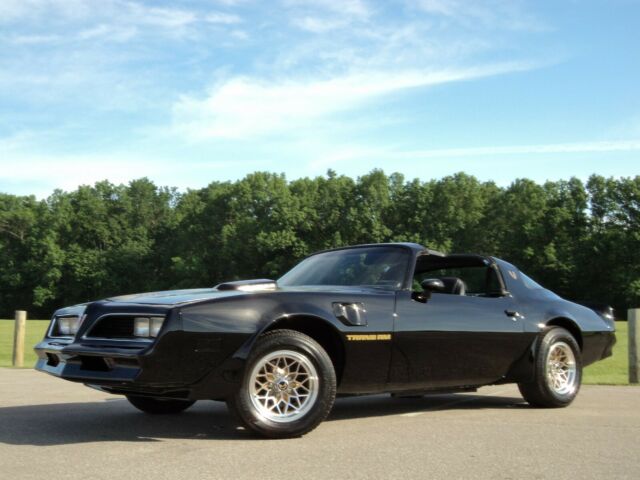 1980 Pontiac Firebird TRANS AM - photo 4