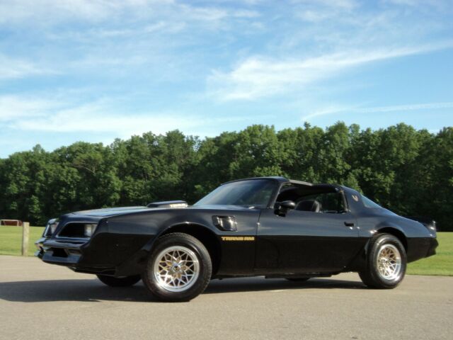1980 Pontiac Firebird TRANS AM - photo 7