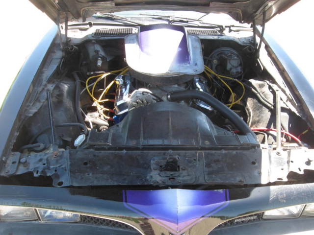 1979 Pontiac Trans Am - photo 10