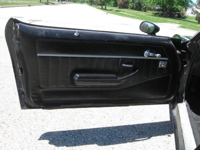 1979 Pontiac Trans Am - photo 7