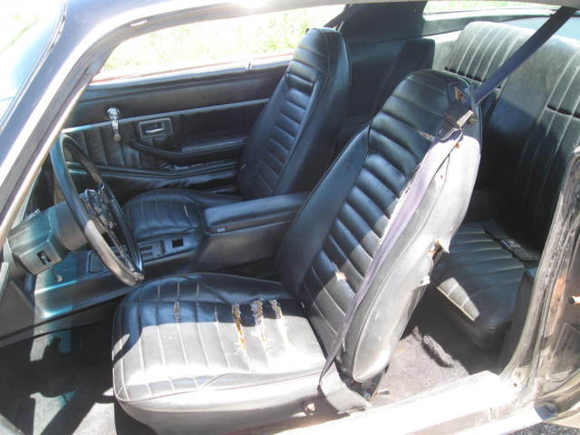 1979 Pontiac Trans Am - photo 8