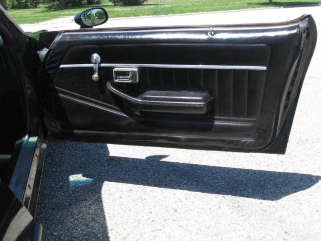 1979 Pontiac Trans Am - photo 9