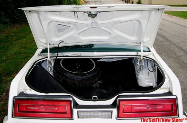 1979 Ford Thunderbird - photo 10