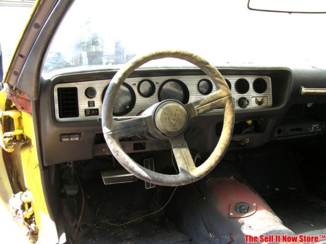 1974 Pontiac Trans Am X Code Super Duty 455 - photo 11