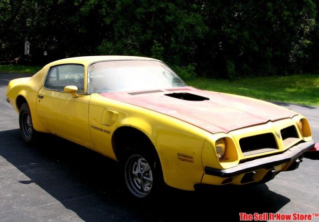 1974 Pontiac Trans Am X Code Super Duty 455 - photo 2