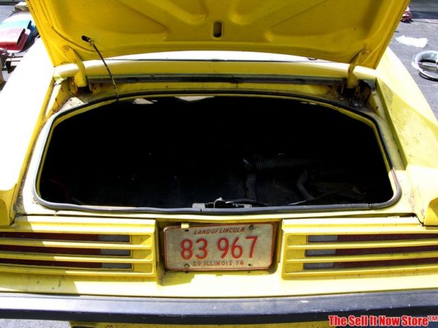 1974 Pontiac Trans Am X Code Super Duty 455 - photo 5