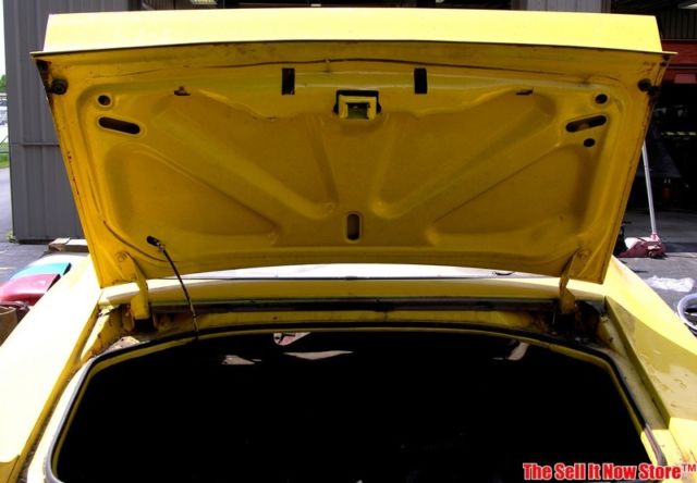 1974 Pontiac Trans Am X Code Super Duty 455 - photo 8