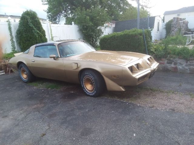 1981 Pontiac Trans Am