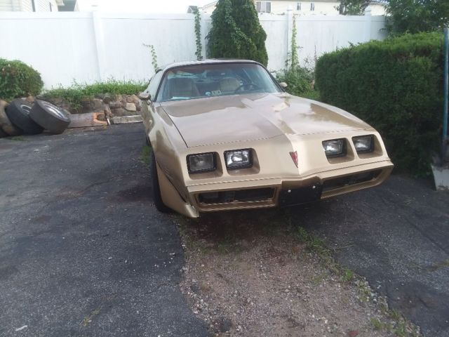 1981 Pontiac Trans Am - photo 2