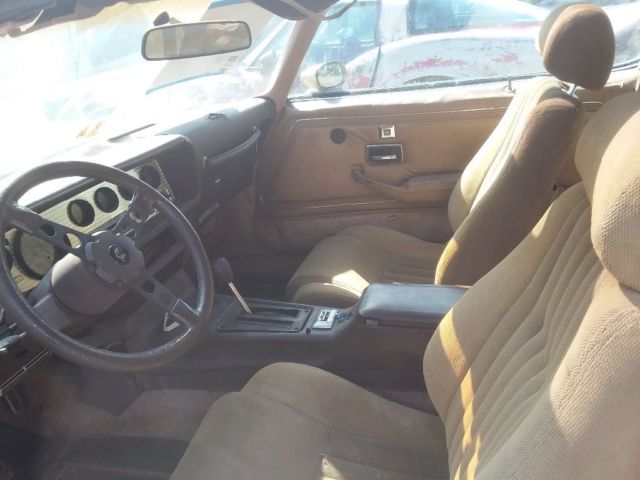 1981 Pontiac Trans Am - photo 4