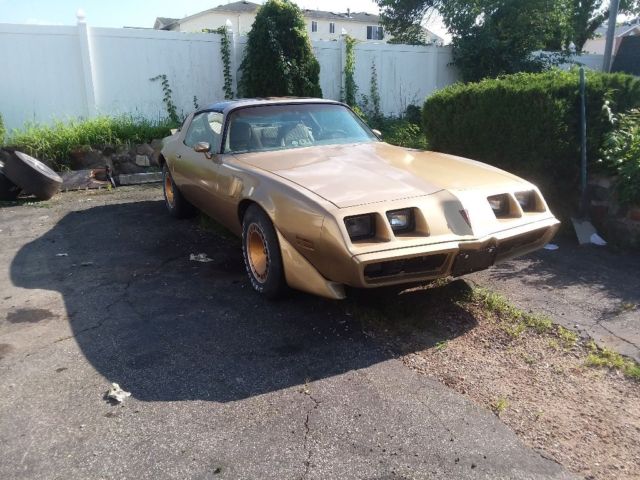 1981 Pontiac Trans Am - photo 5