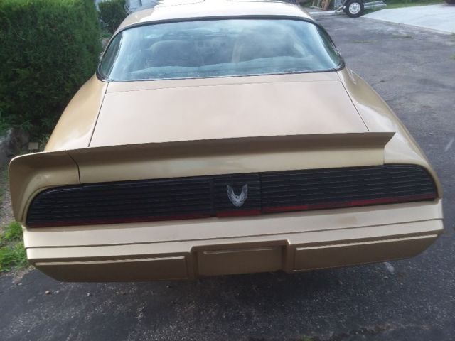 1981 Pontiac Trans Am - photo 6