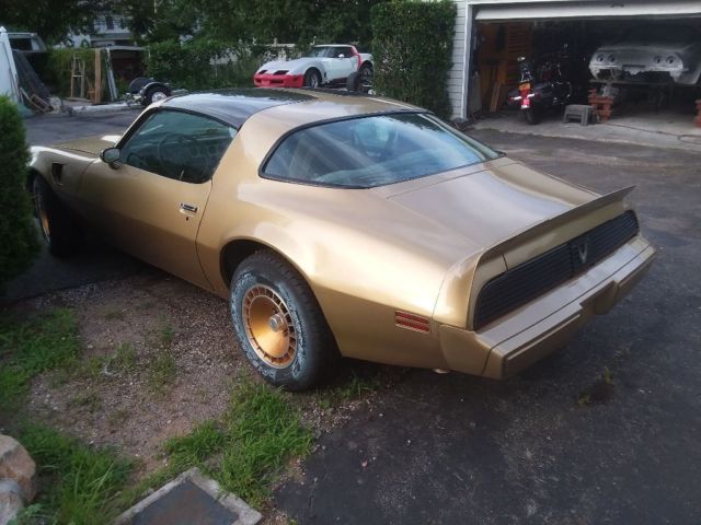1981 Pontiac Trans Am - photo 7