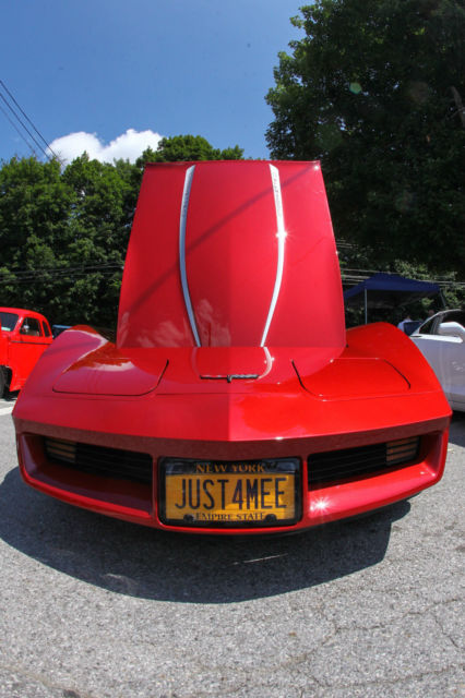 1981 Chevrolet Corvette - photo 11