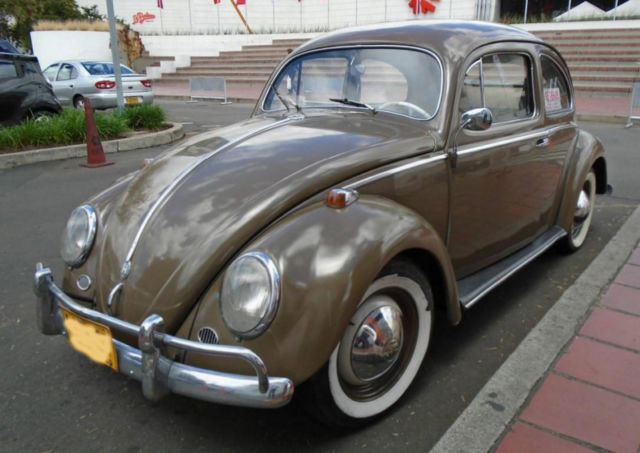 Volkswagen Beetle 1955 Oval 1955 Volkswagen Beetle - Classic
