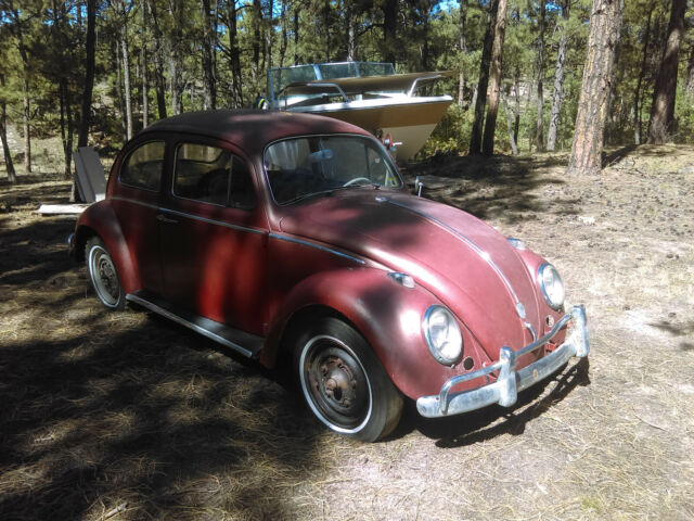 Volkswagen Beetle 1959 German Writing, Horse Hair Seats, Factory Radio Blank 1959 Volkswagen Beetle - Classic